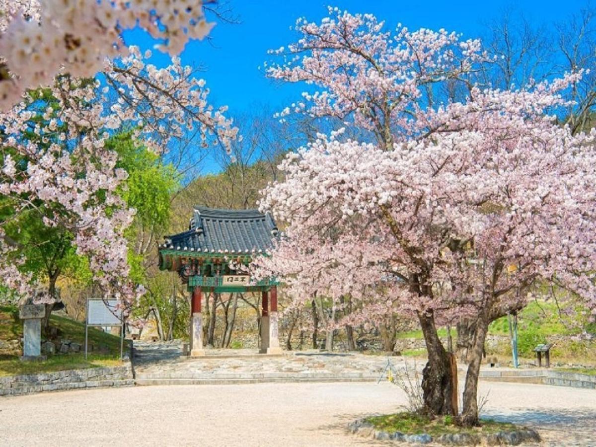 Seaside Pension Goseong  Exteriér fotografie